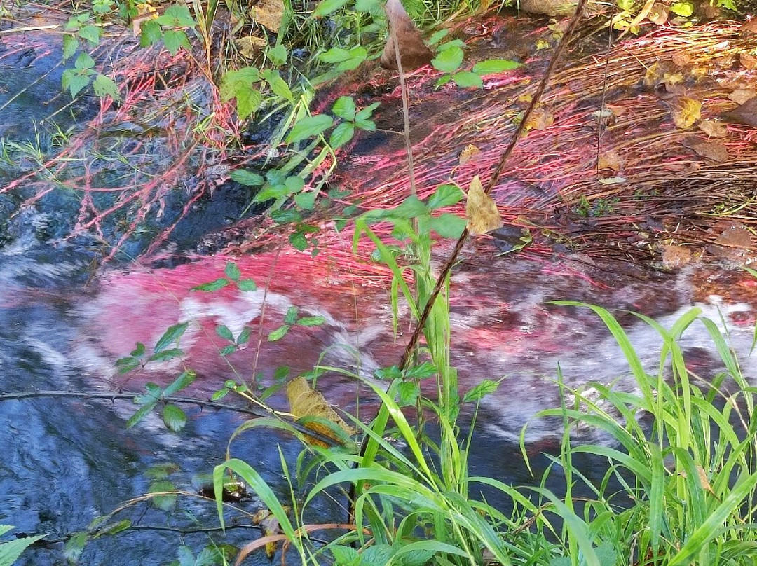 Lago di Posta Fibreno-Posta Fibreno必去景点