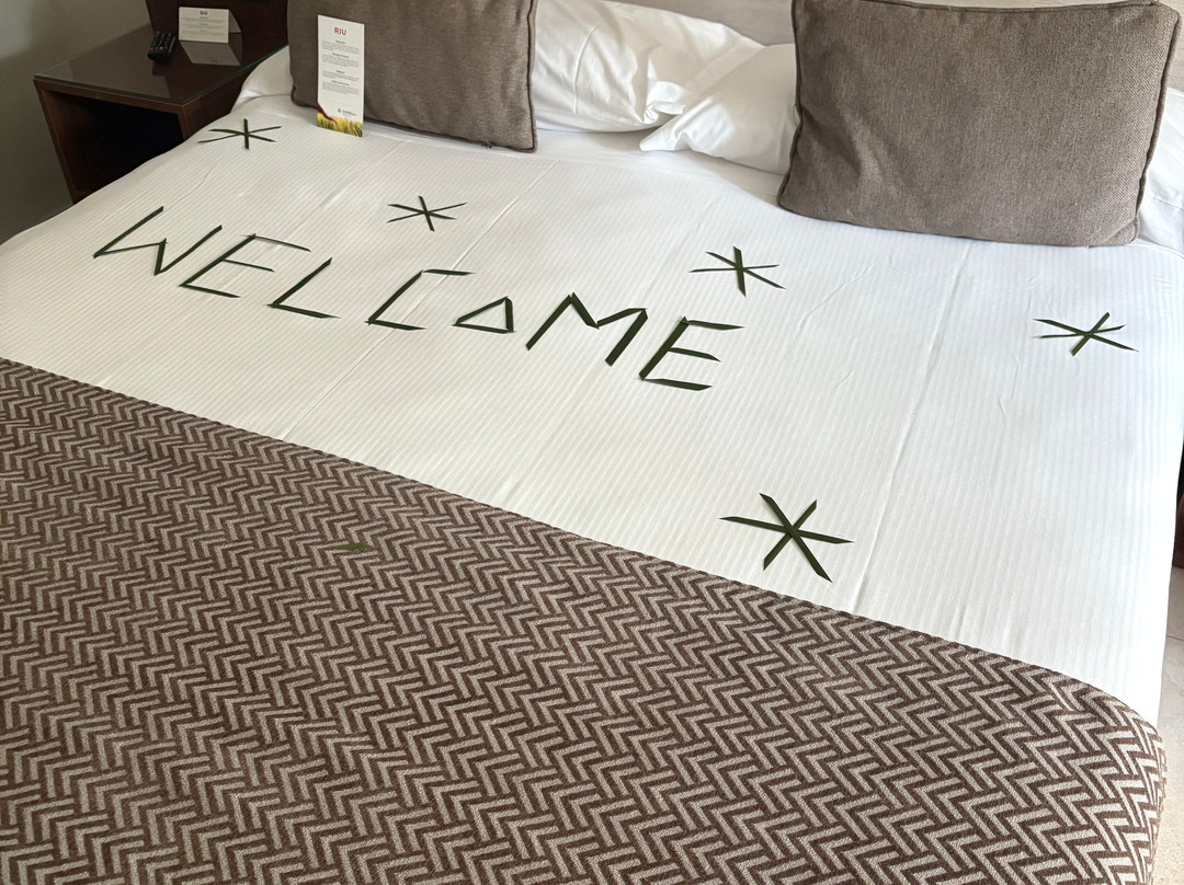 Hotel Riu Jambo主图