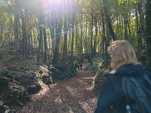 Barcelife-巴塞罗那必去景点