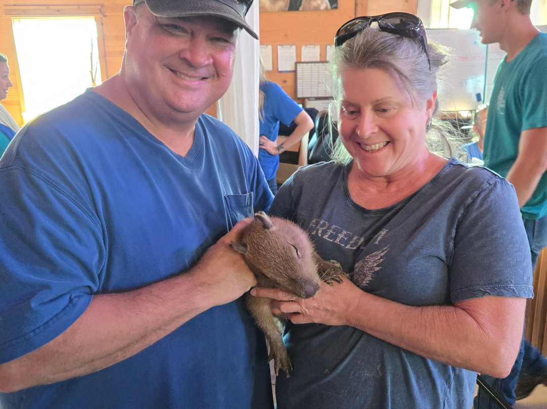 Blue Hills Ranch主图