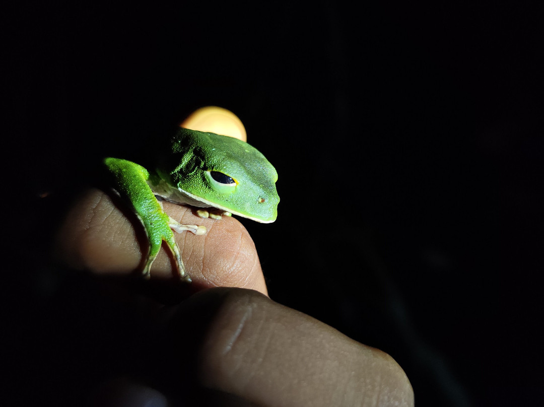 GREEN HOUSE TAMBOPATA-Filadelfia必去景点