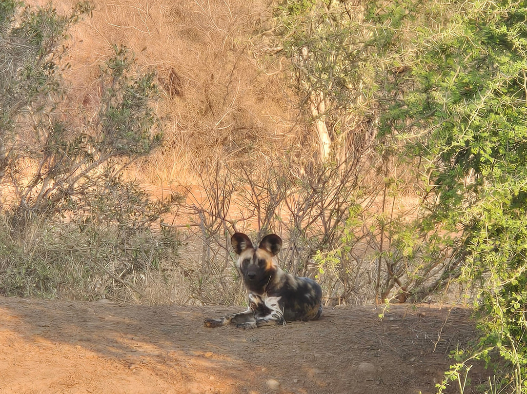 Moriti Private Safaris-克鲁格国家公园必去景点