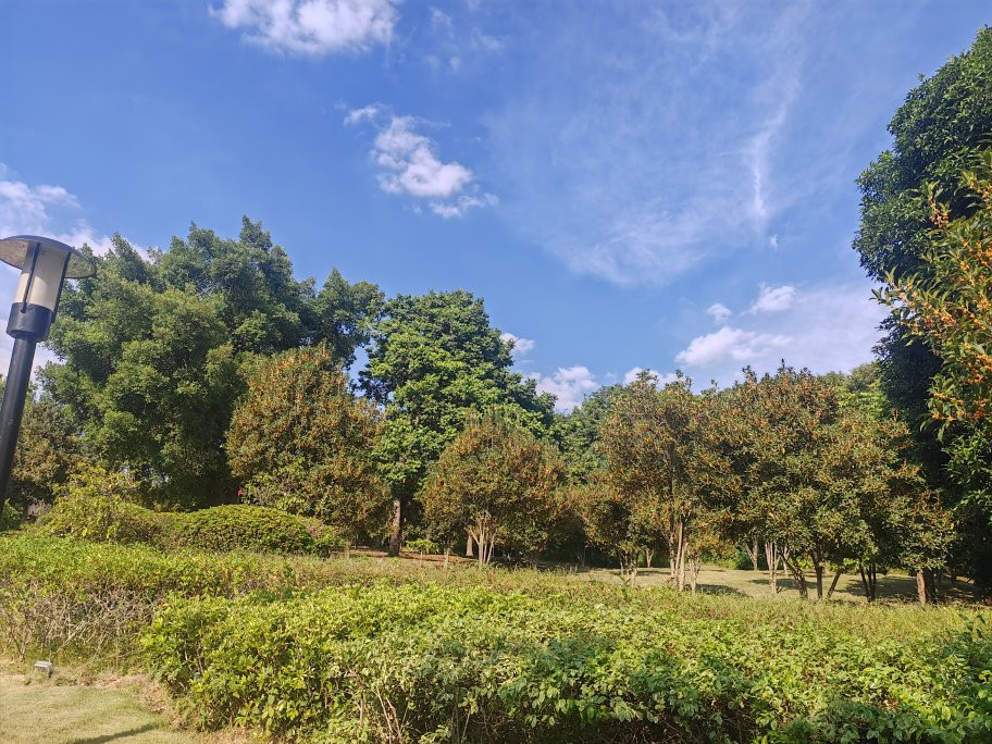 福建鲤鱼洲酒店主图
