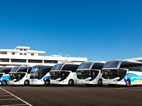 Tour Managers Fiji-纳迪市必去景点