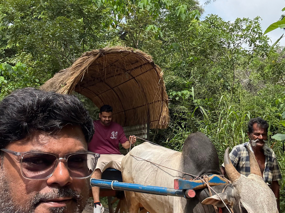 Kit Lanka Tours-Gampaha必去景点