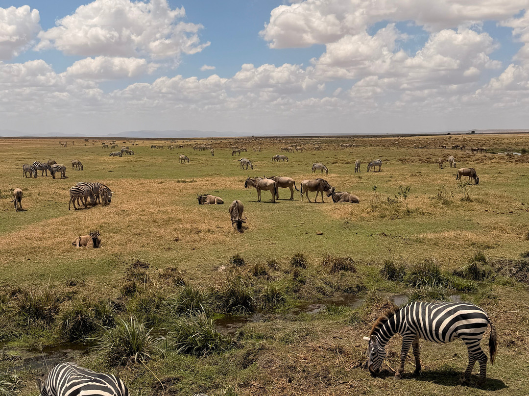 Gamewatchers Safaris-内罗毕必去景点