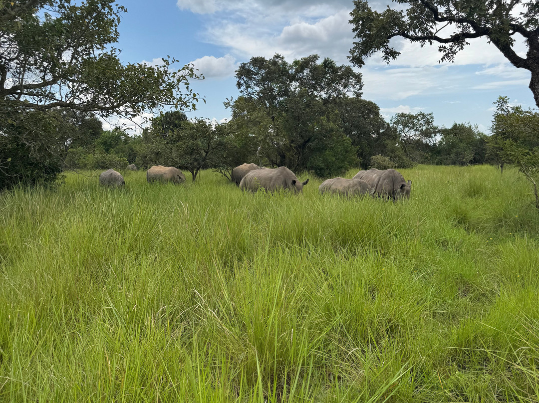 Trek Rwenzori Tours-Fort Portal必去景点