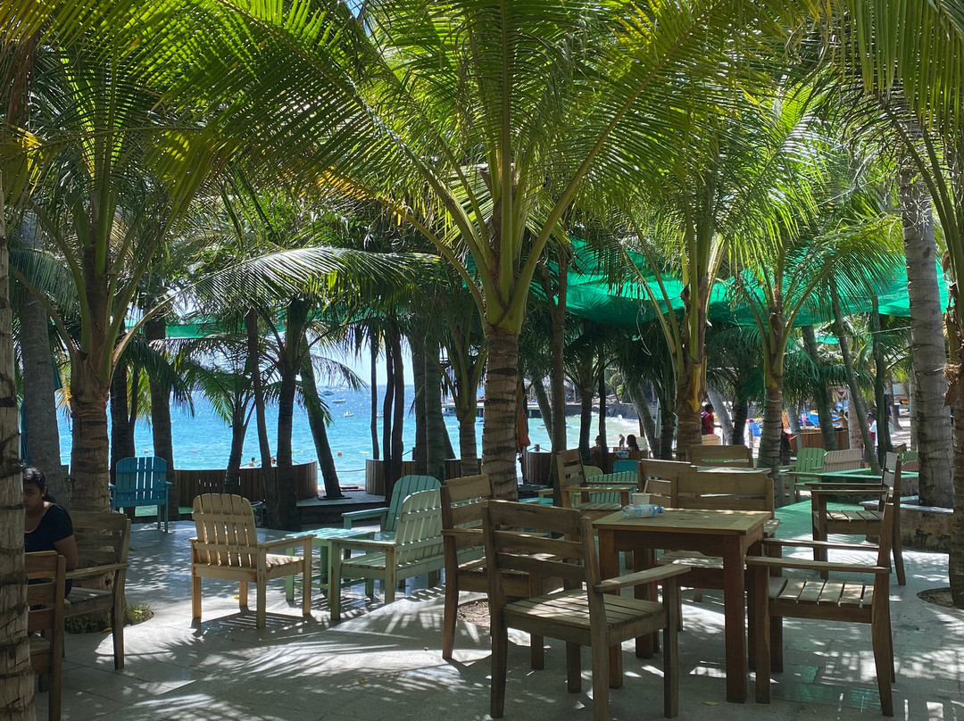 Rooty Trip-富国岛必去景点