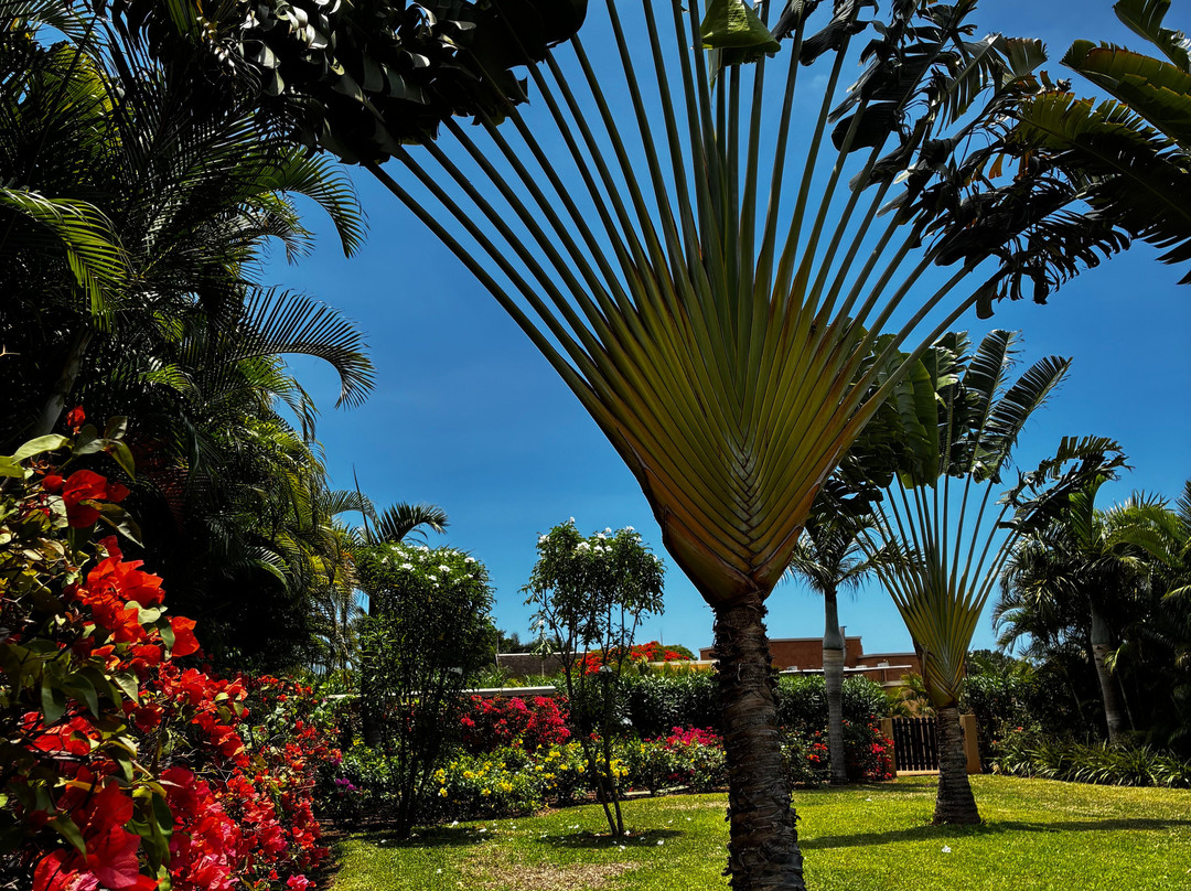 爱必浓毛里求斯度假村酒店主图