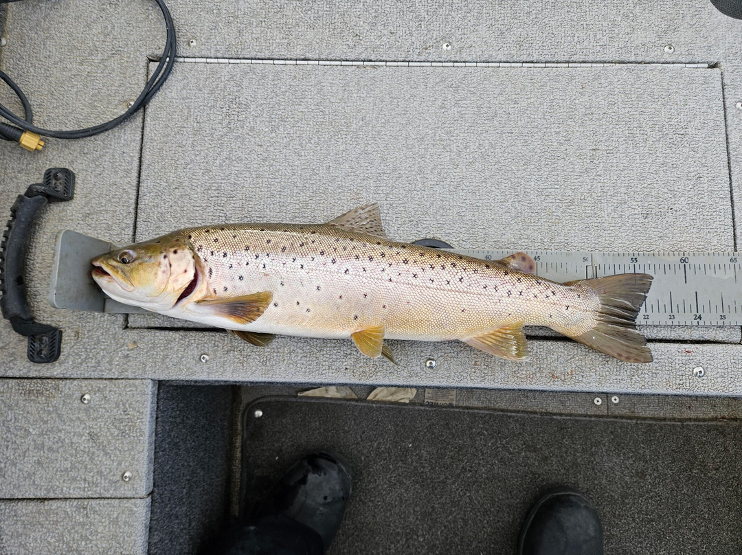 Fishing with Bernie-格兰比必去景点