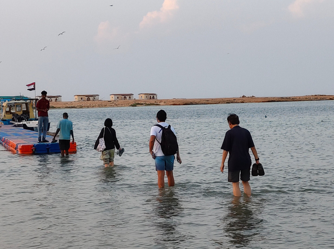 Seashell Sudan-Port Sudan必去景点
