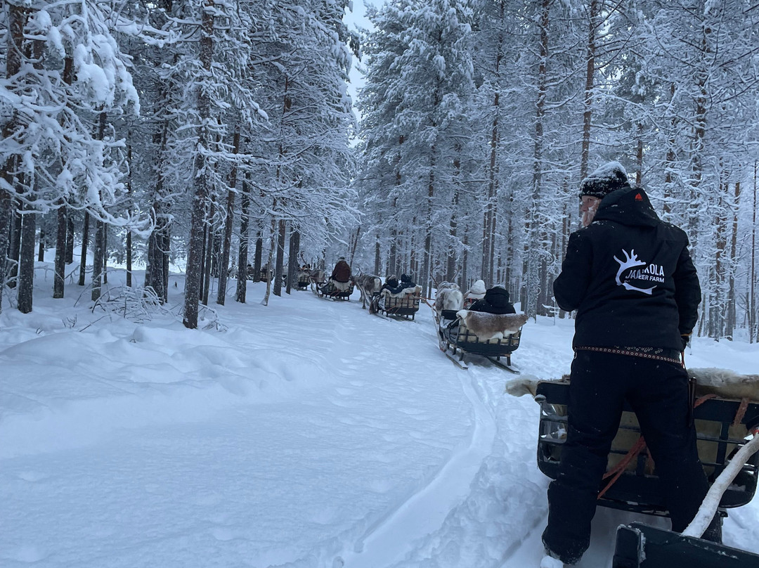 Jaakkola Reindeer Farm-Luosto必去景点