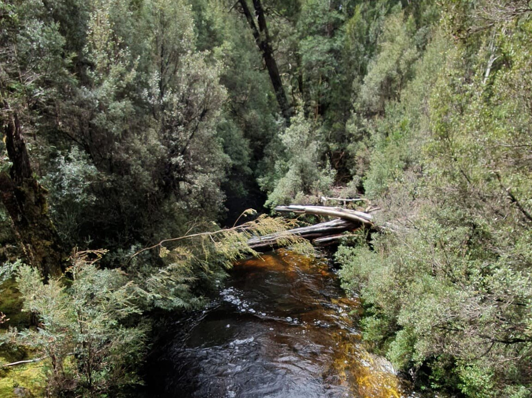 Enchanted Walk-摇篮山圣克莱尔湖国家公园必去景点