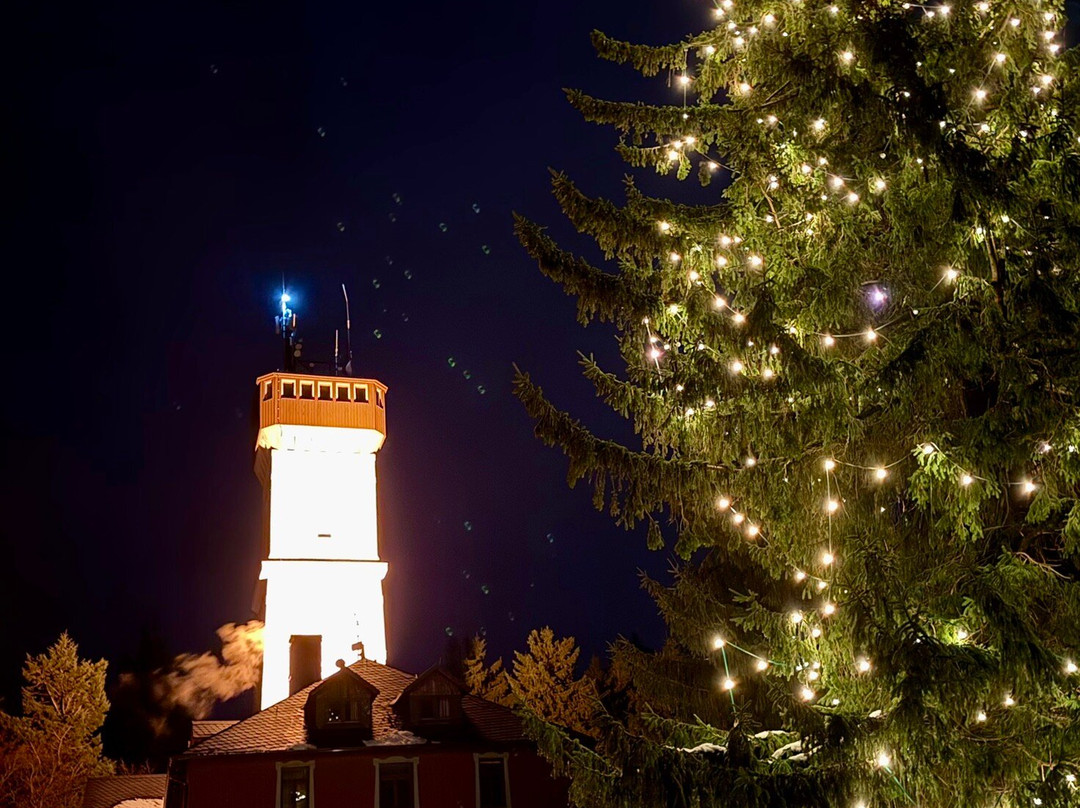 Berghotel Pohlberg主图