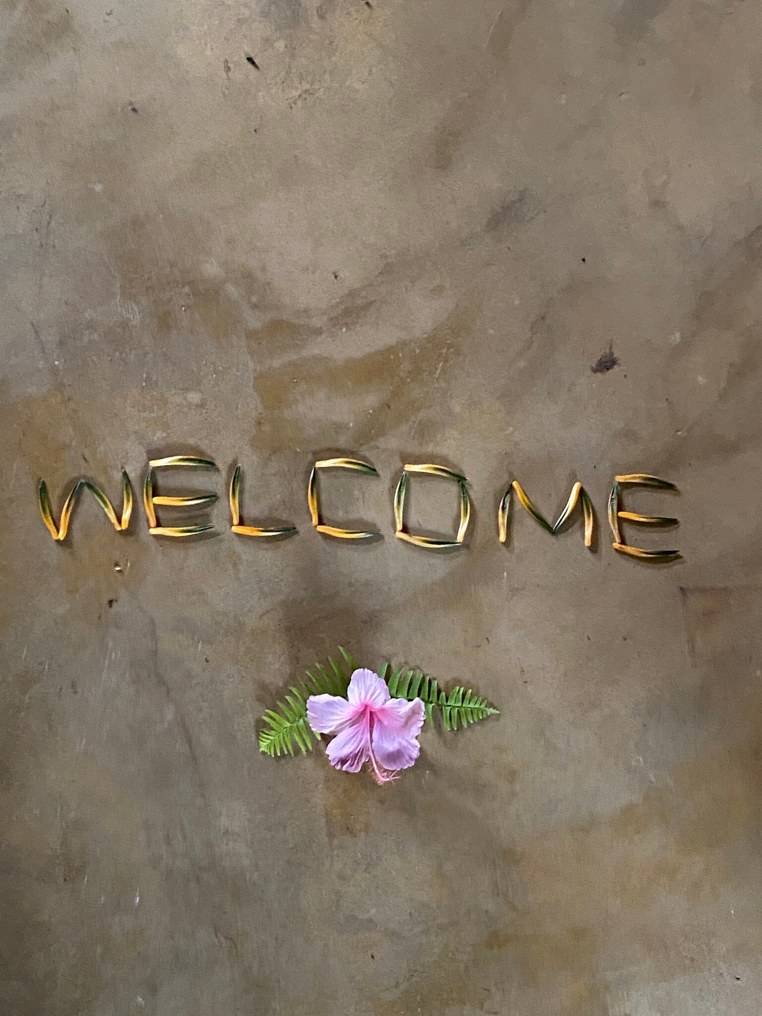 Rainforest Edge-官方