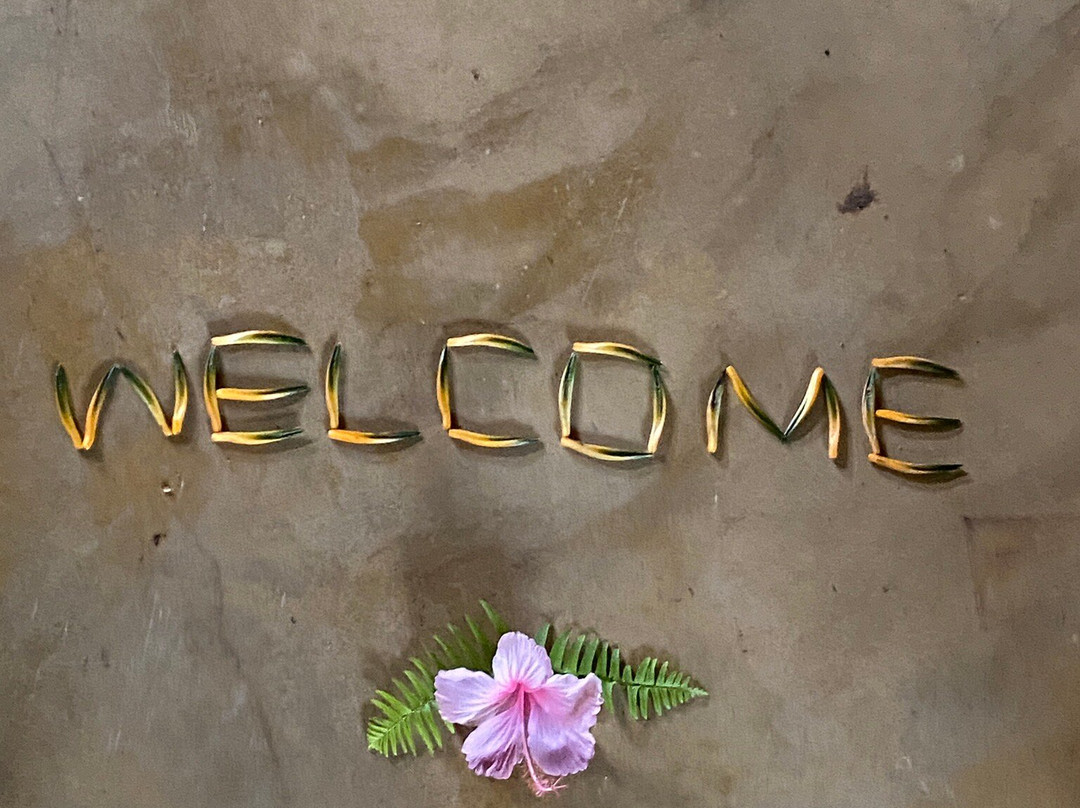 Rainforest Edge主图