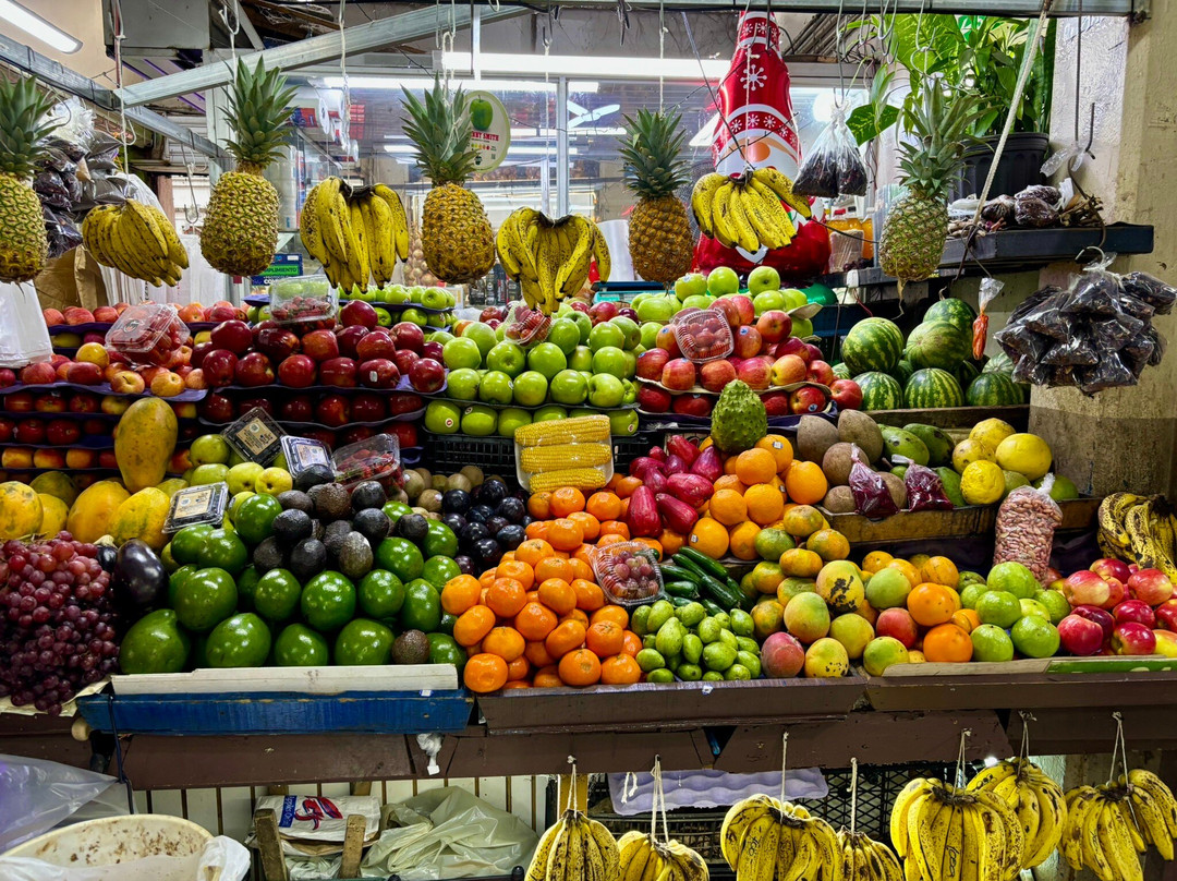 Best of Costa Rica DMC-圣何塞必去景点