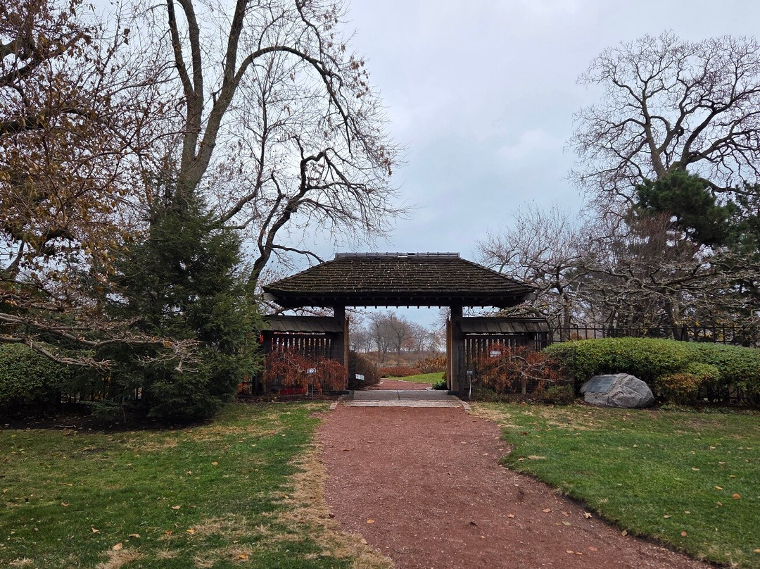 Jackson Park's Japanese Garden-芝加哥必去景点