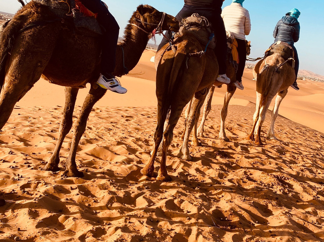 Marrakech Camel Trips-非斯必去景点