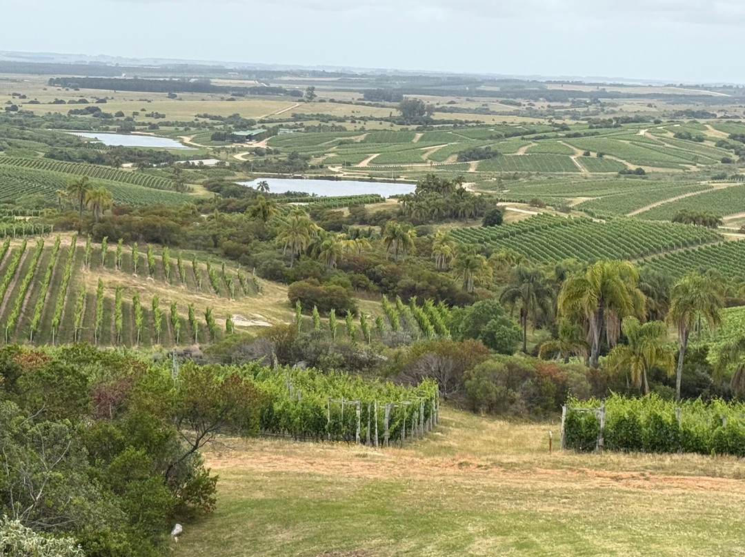 Bodega Garzon-Garzon必去景点