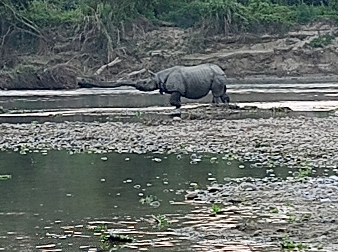 The Chitwan Jungle Guides-苏拉哈必去景点