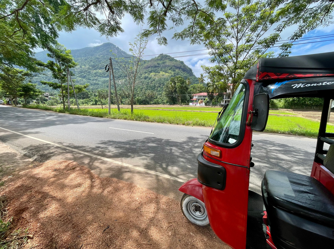 Tuk Tuk Rental Negombo-尼甘布必去景点