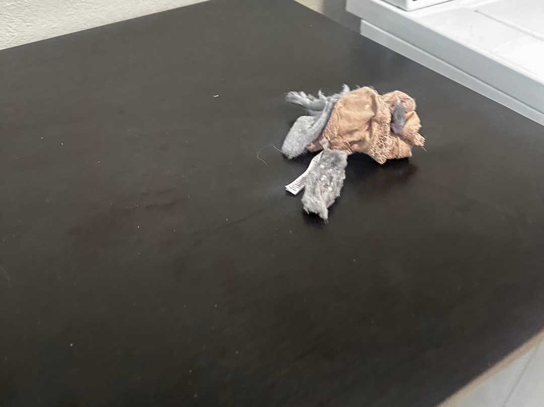 Extended Stay America - Washington, D.C. - Fairfax主图