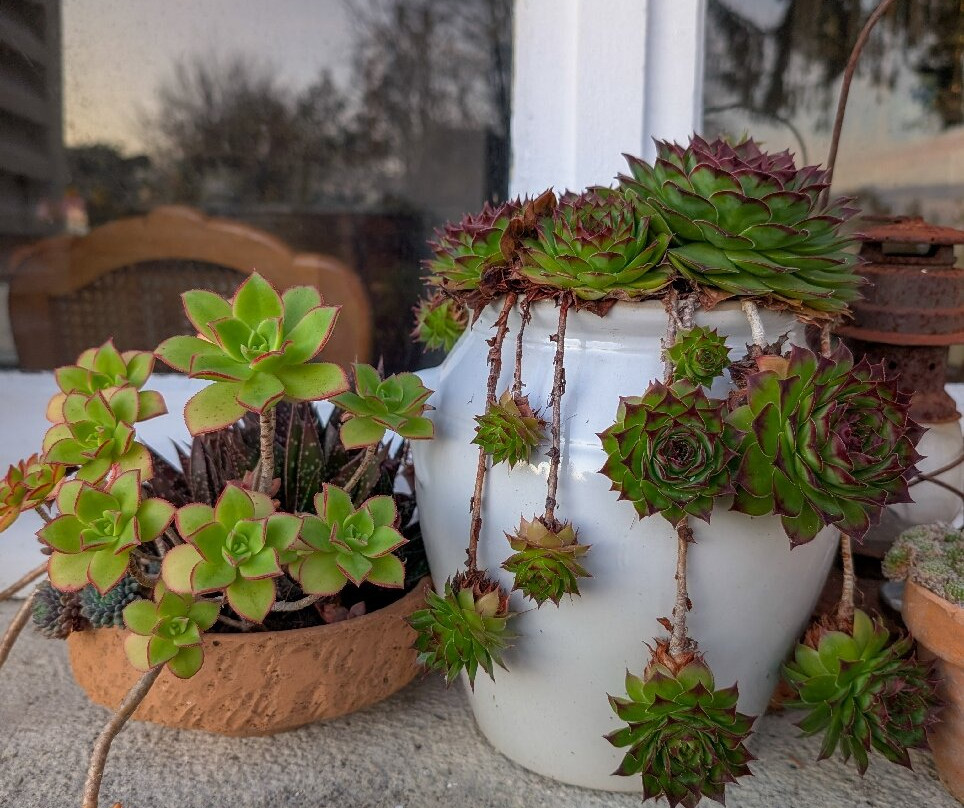 Manoir de la Salle du Roc主图