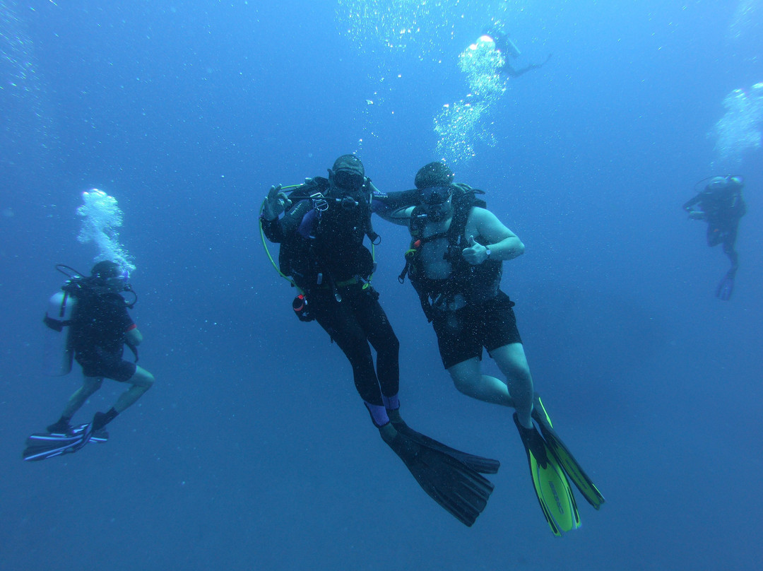 Euro-Divers Albion-阿尔比恩必去景点