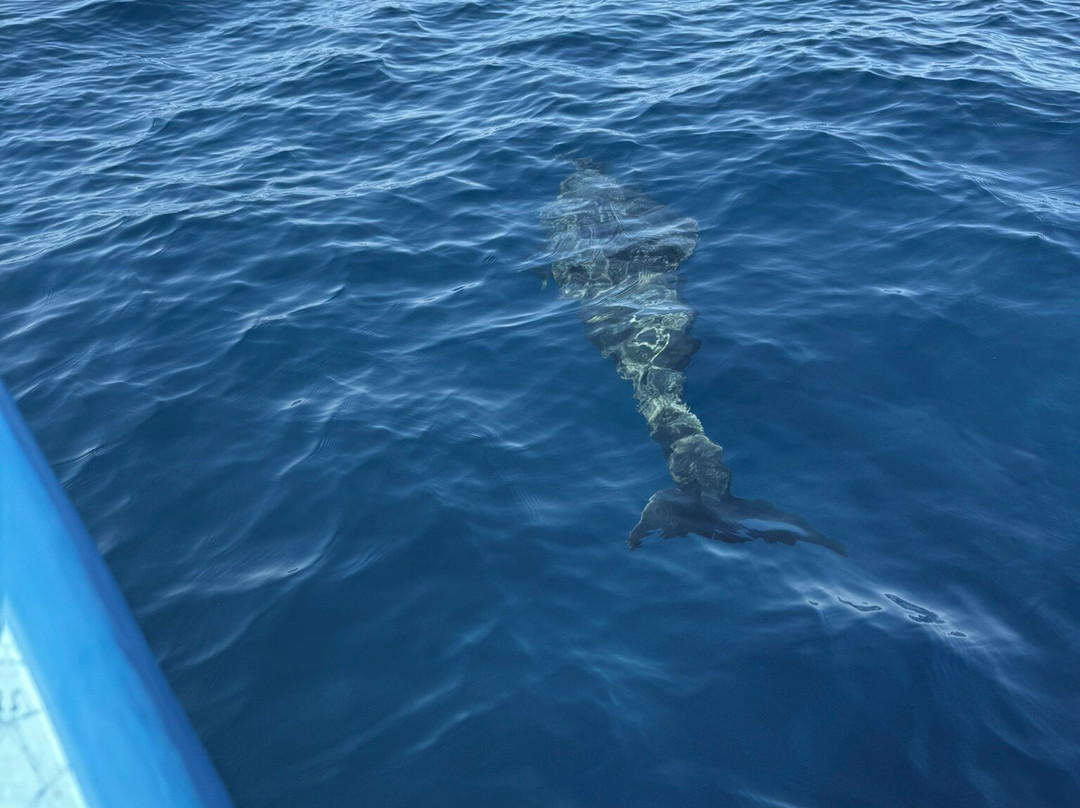 Agua Salada-La Ventana必去景点