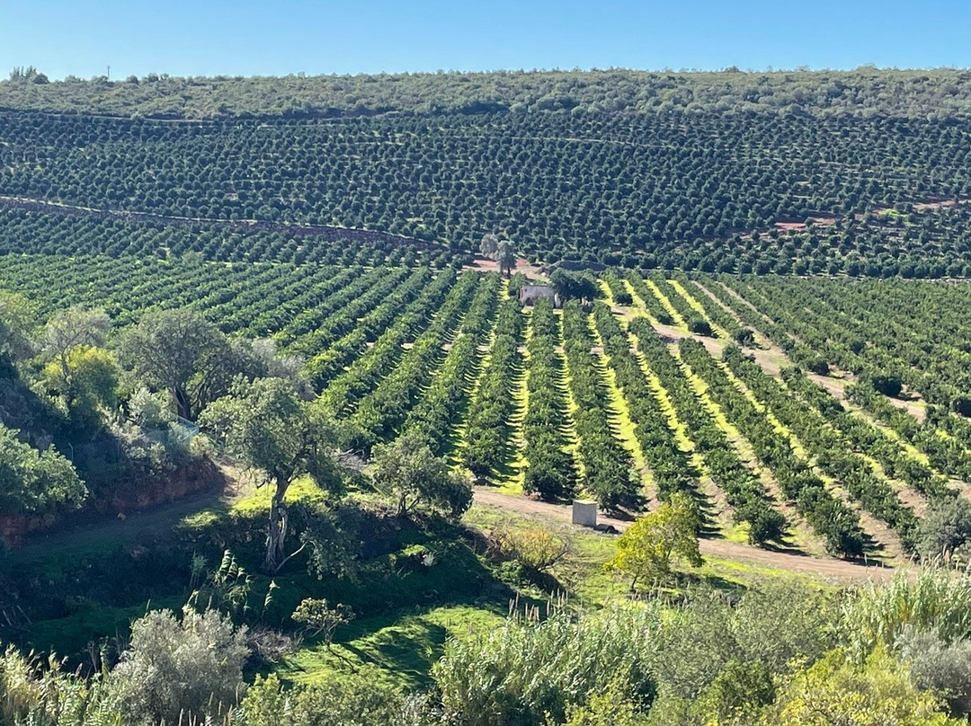 Queda do Vigário-Alte必去景点