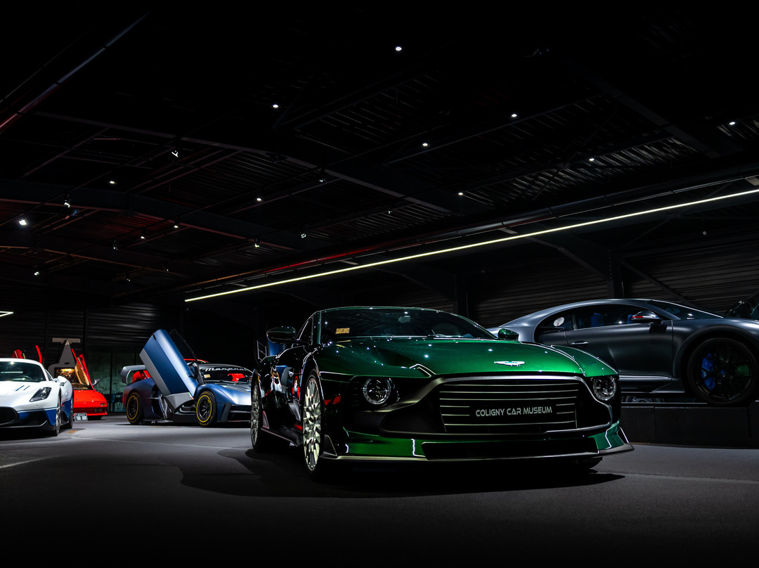 Coligny Car Museum-Coligny必去景点