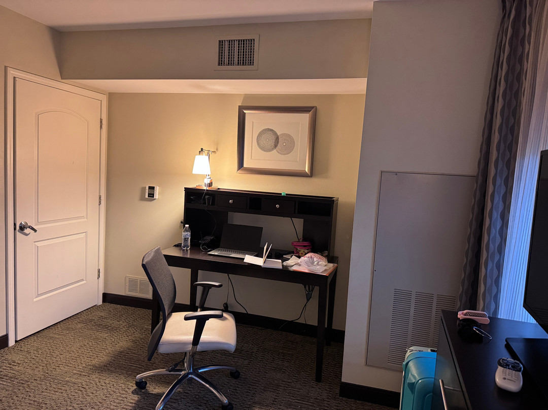 Staybridge Suites Ann Arbor - Univ of Michigan by IHG主图