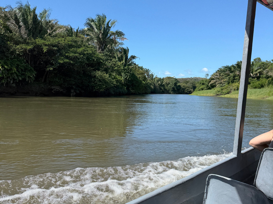Hacienda El Viejo Wetlands-Area de Conservacion Guanacaste必去景点