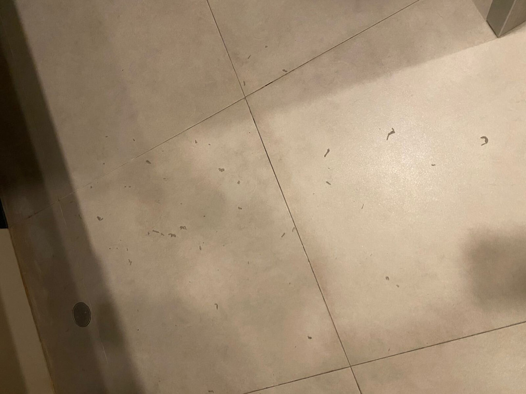 Grage Horizon Hotel主图