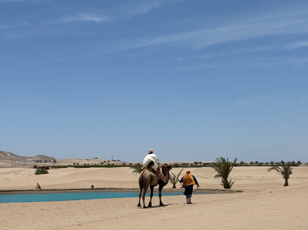 Dromedarius-伊卡必去景点