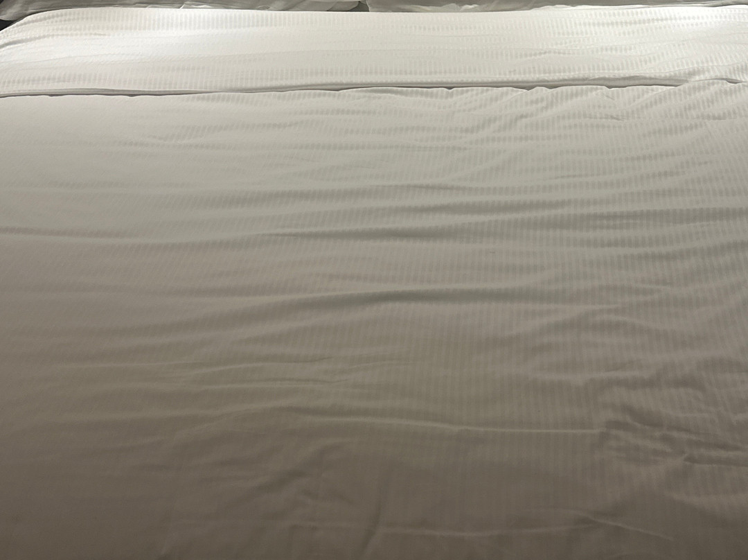 Clarion Hotel Jeddah Airport主图