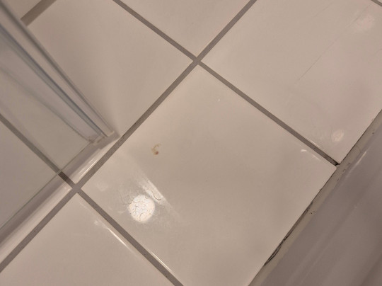 Romantisches Hotel Menzhausen主图