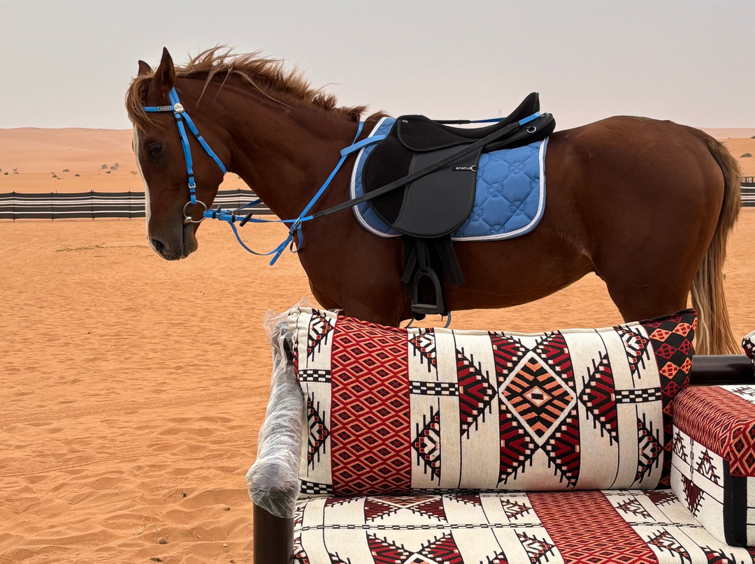 My Saudi Tours-利雅德必去景点