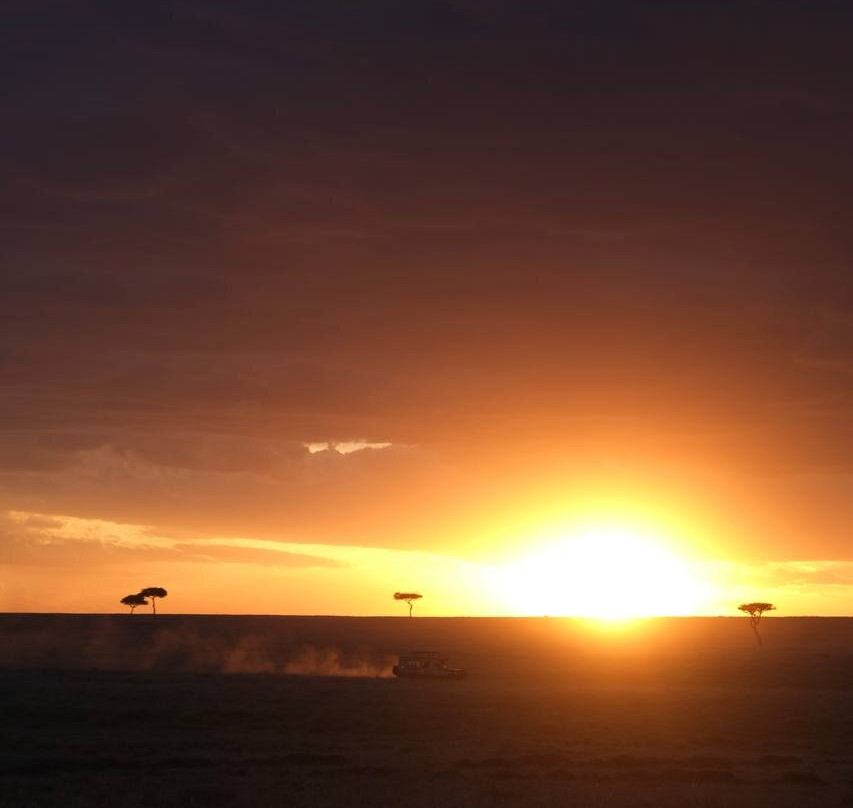 Mufasa Tours and Travels-内罗毕必去景点