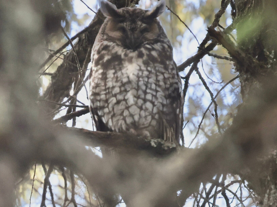 Absolute Ethiopia Tours-亚的斯亚贝巴必去景点