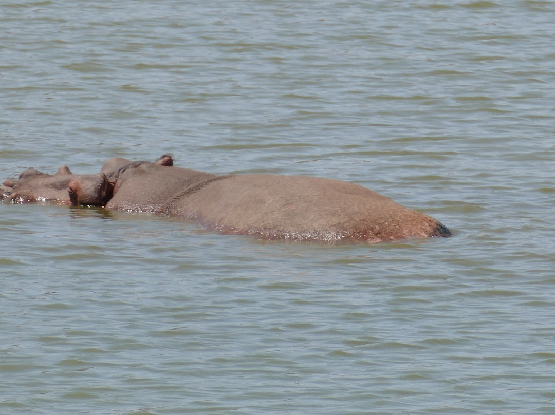 Dida Tours and Safaris-山祖必去景点