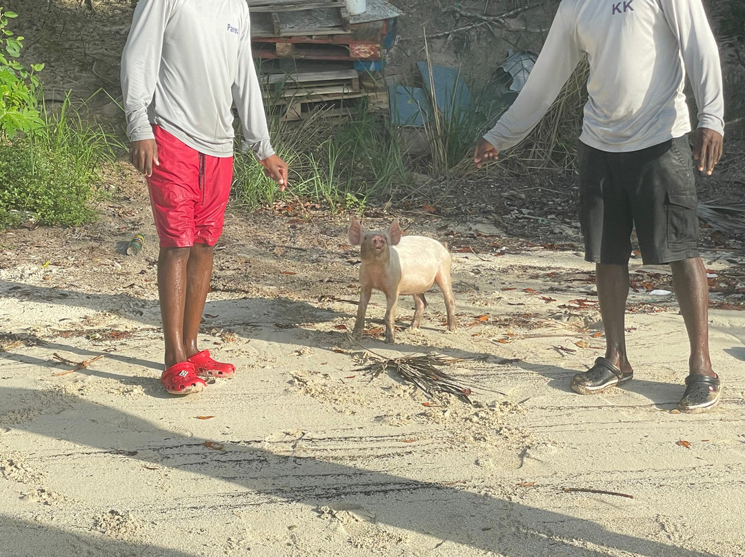 Eleuthera Outdoor Center-Tarpum Bay必去景点