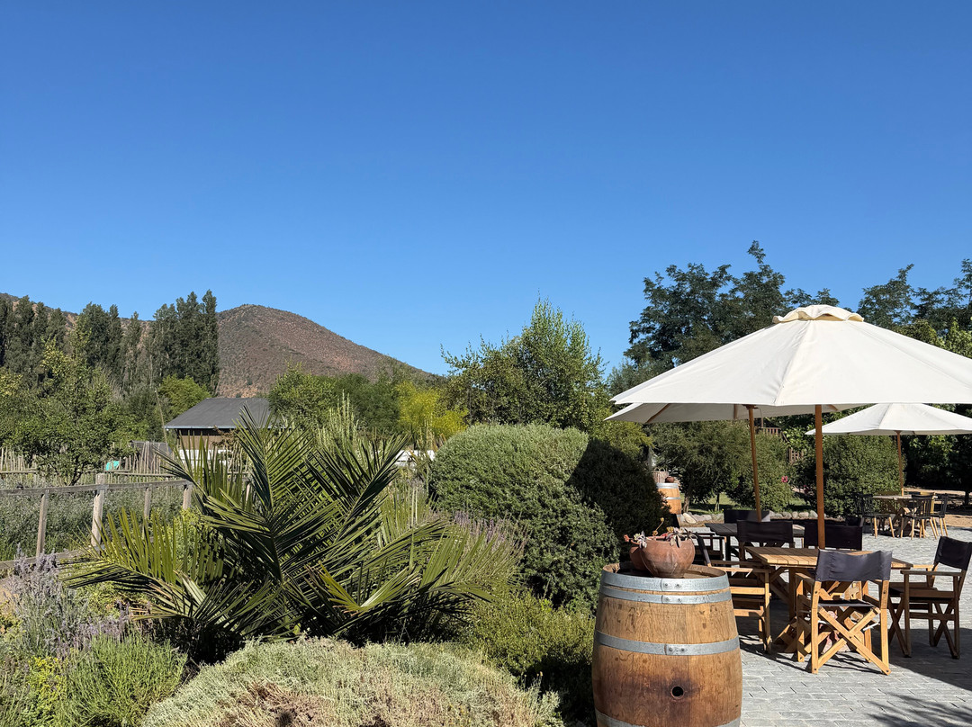 Campo La Quirinca-Isla de Maipo必去景点