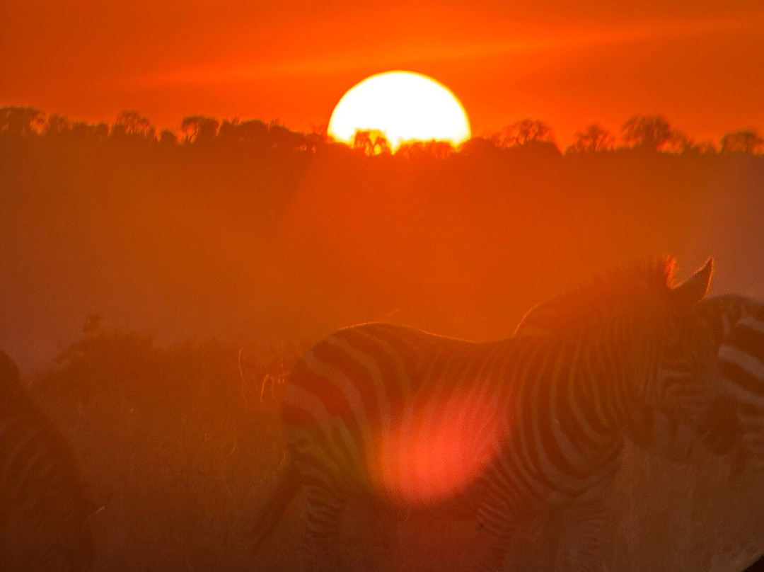 Makasa Tanzania Safaris-莫西必去景点