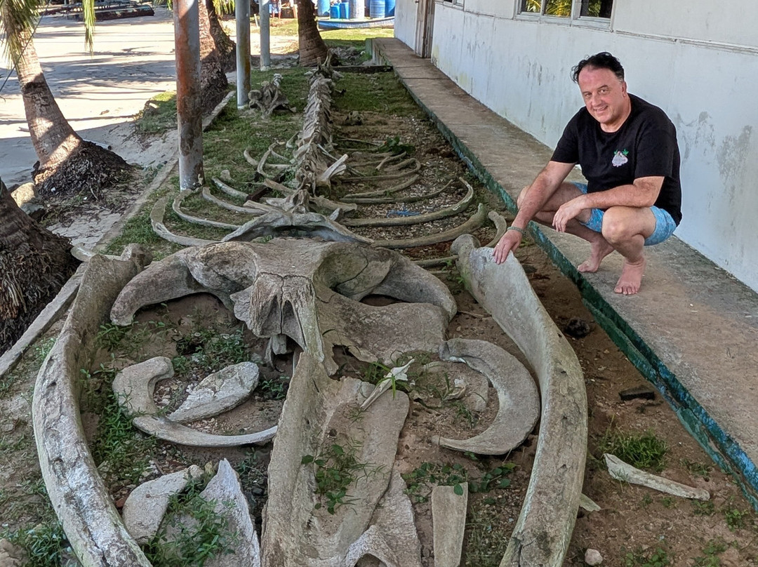 Premier Coiba Tours-Santa Catalina必去景点