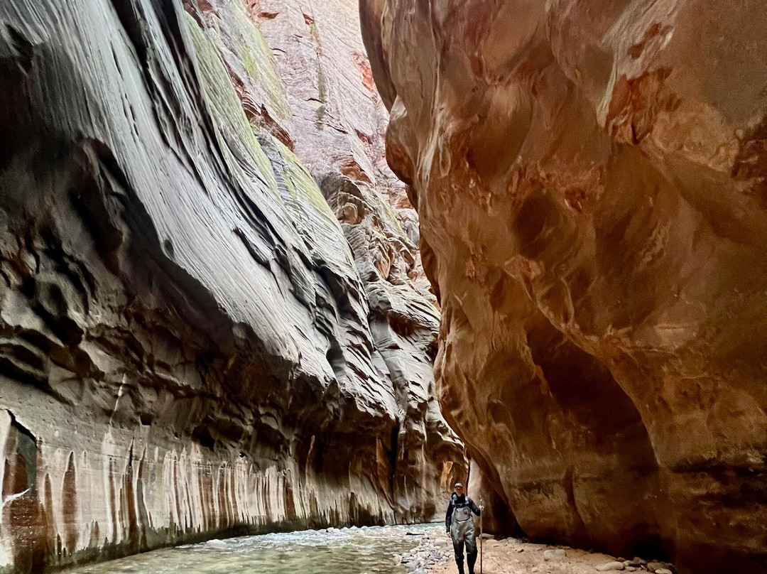 Zion Guru-斯普林代尔必去景点