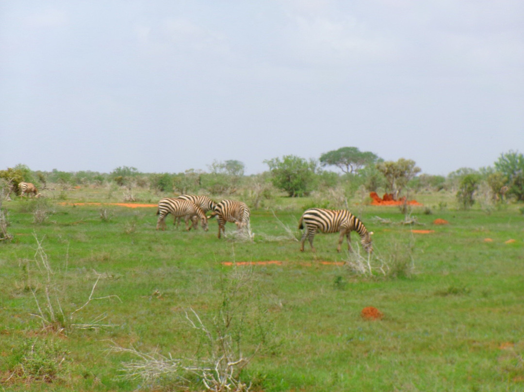 Agenzia Safari Vera Africa-东察沃国家公园必去景点