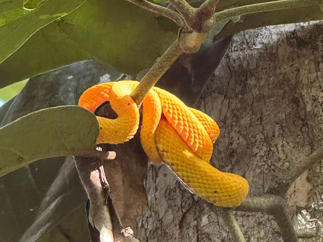 Manuel Tour Guide-卡维塔必去景点