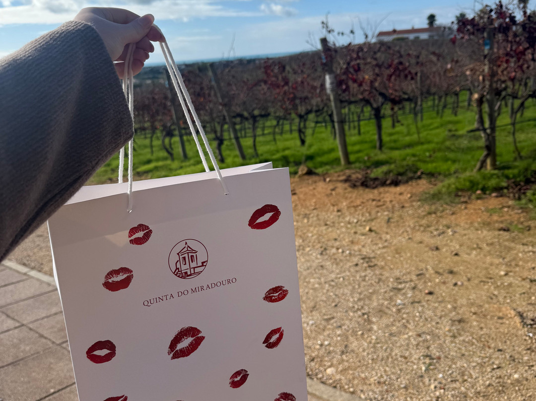 Adega do Cantor-阿尔布赞拉必去景点